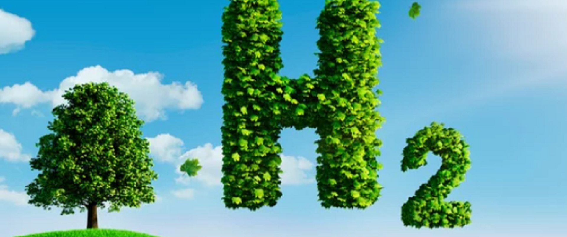 H2 symbol made of leaves