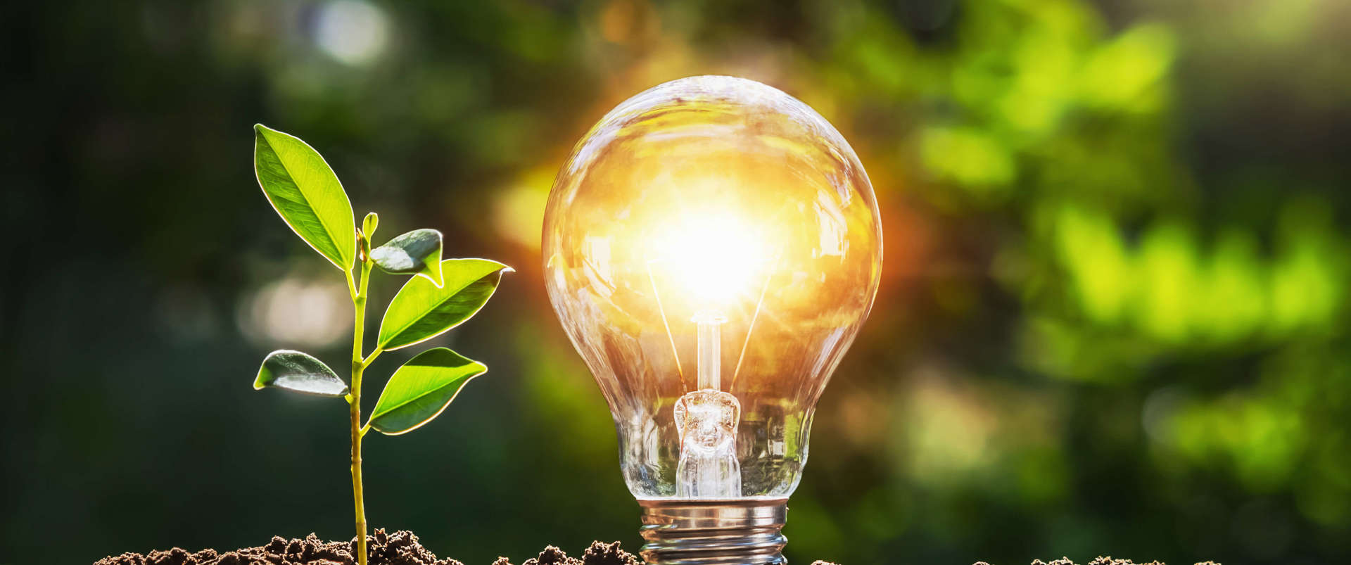 Sustainable composite materials | National Composites Centre